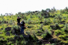 TBW-Rock-5046