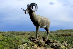 TBW-Rock-4043
