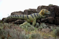 TBW-Rock-4057