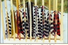 tbwpics10